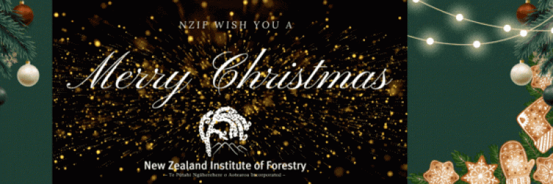 NZIF Merry Christmas 2024 GIF