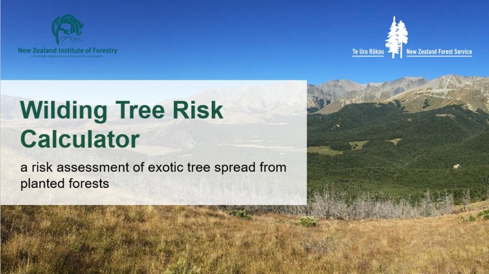 Wilding Webinar Dec 2025